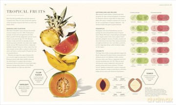 The Science of Flavour: Unlock the Secrets of Flavourful Cooking - Dr. Stuart Farrimond [KSIĄŻKA]