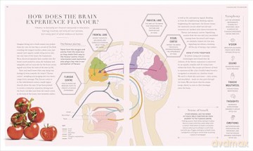 The Science of Flavour: Unlock the Secrets of Flavourful Cooking - Dr. Stuart Farrimond [KSIĄŻKA]