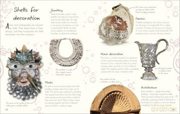 An Anthology of Shells: A Collection of Fascinating Shells from Around the World (DK Little Anthologies) - Simon Aiken [KSIĄŻKA]