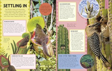 Animal Partnerships: Radical Relationships, Unlikely Alliances, and Other Animal Teams (Wonders of Wildlife) - Ben Hoare [KSIĄŻKA]