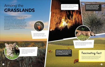 DK Super Planet Beautiful Biodiversity - DK [KSIĄŻKA]
