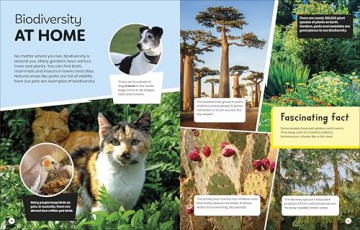 DK Super Planet Beautiful Biodiversity - DK [KSIĄŻKA]