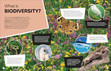 DK Super Planet Beautiful Biodiversity - DK [KSIĄŻKA]