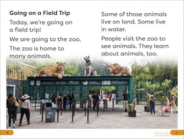 DK Super Readers Level 1 A Trip to the Zoo - DK [KSIĄŻKA]