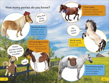 DK Super Readers Level 2 Prancing Pony: Animals with Attitude - DK [KSIĄŻKA]