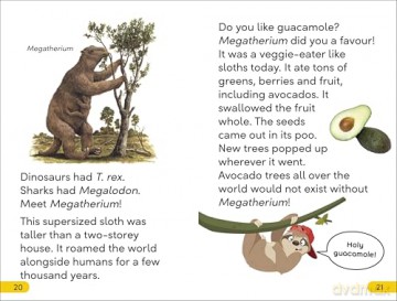DK Super Readers Level 2 Sassy Sloth: Animals with Attitude - DK [KSIĄŻKA]