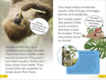 DK Super Readers Level 2 Sassy Sloth: Animals with Attitude - DK [KSIĄŻKA]