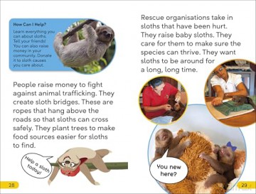 DK Super Readers Level 2 Sassy Sloth: Animals with Attitude - DK [KSIĄŻKA]