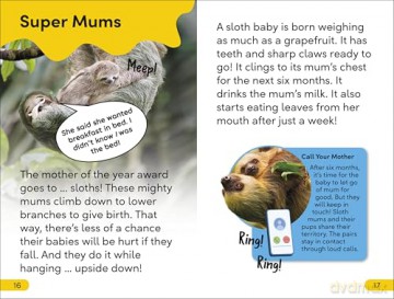 DK Super Readers Level 2 Sassy Sloth: Animals with Attitude - DK [KSIĄŻKA]