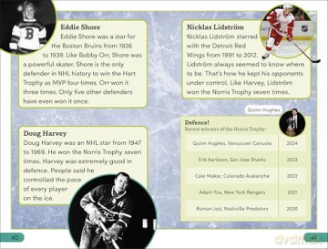 DK Super Readers Level 3 Ice Hockey - DK [KSIĄŻKA]