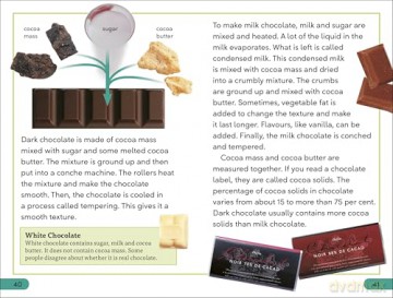 DK Super Readers Level 3 The Story of Chocolate - DK [KSIĄŻKA]