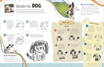 Draw Along Animals: Sketch Your Way Through the Animal Kingdom - Pippa Pixley [KSIĄŻKA]