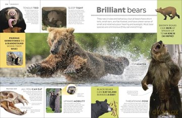 Eyewitness Encyclopedia of Animals (DK Eyewitness) - DK [KSIĄŻKA]