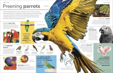 Eyewitness Encyclopedia of Animals (DK Eyewitness) - DK [KSIĄŻKA]