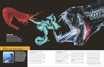 Eyewitness Encyclopedia of Animals (DK Eyewitness) - DK [KSIĄŻKA]