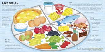 Food Around the World: 2 (DK Around the World) - DK [KSIĄŻKA]