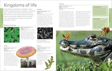 Geography A Children's Encyclopedia (DK Children's Visual Encyclopedia) - DK [KSIĄŻKA]