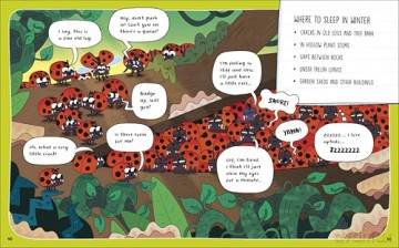 How to be a Ladybird (in association with the Royal Entomological Society) (How to Be a Bug) - Laura Knowles [KSIĄŻKA]