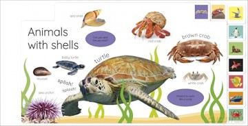 My First Ocean: Let's Dive In and Explore! (My First Tabbed Board Book) - DK [KSIĄŻKA]