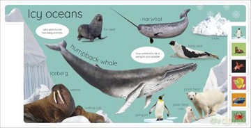 My First Ocean: Let's Dive In and Explore! (My First Tabbed Board Book) - DK [KSIĄŻKA]