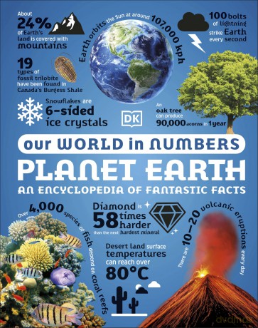Our World in Numbers Planet Earth (DK Our World in Numbers) - DK [KSIĄŻKA]