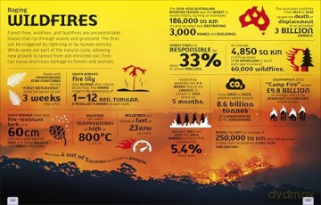 Our World in Numbers Planet Earth (DK Our World in Numbers) - DK [KSIĄŻKA]