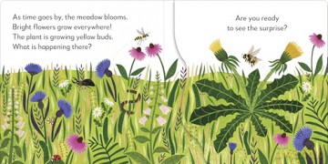 Pop-Up Peekaboo! Flower - DK [KSIĄŻKA]