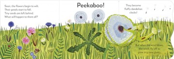 Pop-Up Peekaboo! Flower - DK [KSIĄŻKA]