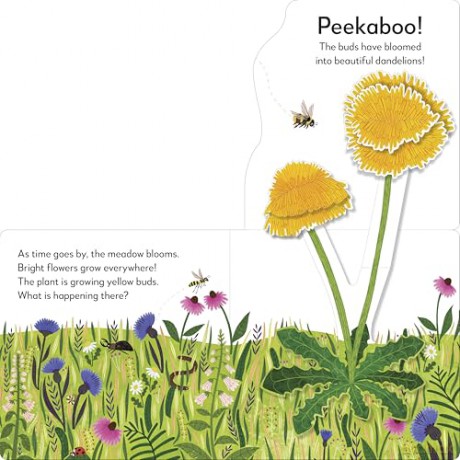 Pop-Up Peekaboo! Flower - DK [KSIĄŻKA]