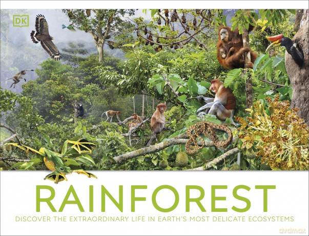 Rainforest: Discover the Extraordinary Life in Earth's Most Delicate Ecosystems (DK Panorama) - DK [KSIĄŻKA]