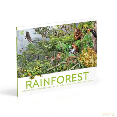 Rainforest: Discover the Extraordinary Life in Earth's Most Delicate Ecosystems (DK Panorama) - DK [KSIĄŻKA]