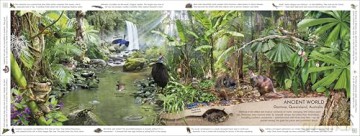 Rainforest: Discover the Extraordinary Life in Earth's Most Delicate Ecosystems (DK Panorama) - DK [KSIĄŻKA]