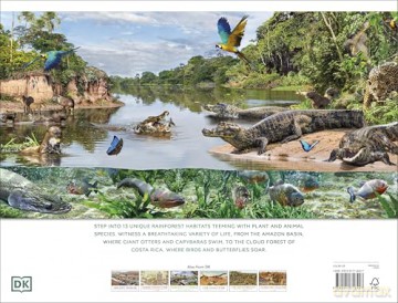 Rainforest: Discover the Extraordinary Life in Earth's Most Delicate Ecosystems (DK Panorama) - DK [KSIĄŻKA]