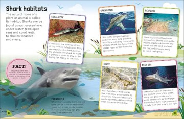 Sticker Encyclopedia Sharks: More Than 600 Stickers - DK [KSIĄŻKA]
