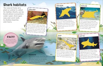 Sticker Encyclopedia Sharks: More Than 600 Stickers - DK [KSIĄŻKA]