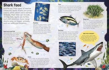 Sticker Encyclopedia Sharks: More Than 600 Stickers - DK [KSIĄŻKA]