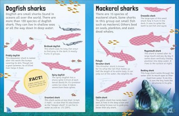 Sticker Encyclopedia Sharks: More Than 600 Stickers - DK [KSIĄŻKA]