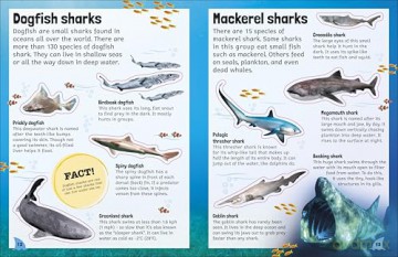 Sticker Encyclopedia Sharks: More Than 600 Stickers - DK [KSIĄŻKA]