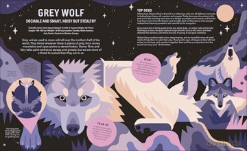Zoom Out Natural World: Discover 12 Iconic Animals and Their Incredible Ecosystems - Owen Davey [KSIĄŻKA]