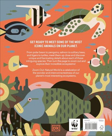 Zoom Out Natural World: Discover 12 Iconic Animals and Their Incredible Ecosystems - Owen Davey [KSIĄŻKA]