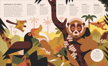 Zoom Out Natural World: Discover 12 Iconic Animals and Their Incredible Ecosystems - Owen Davey [KSIĄŻKA]