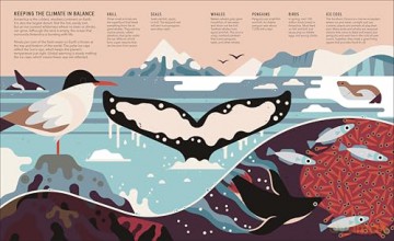 Zoom Out Natural World: Discover 12 Iconic Animals and Their Incredible Ecosystems - Owen Davey [KSIĄŻKA]