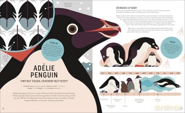 Zoom Out Natural World: Discover 12 Iconic Animals and Their Incredible Ecosystems - Owen Davey [KSIĄŻKA]