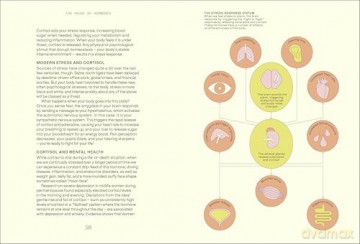 Everything I Know About Hormones: Six Steps to Optimal Health and Happiness - Hannah Alderson [KSIĄŻKA]