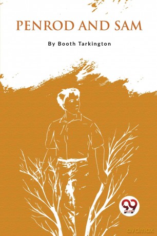Penrod and Sam - Booth Tarkington [KSIĄŻKA]