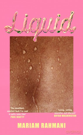 Liquid: A rom-com with a literary twist, for fans of Jeffrey Eugenides and Elif Batuman - Mariam Rahmani [KSIĄŻKA]