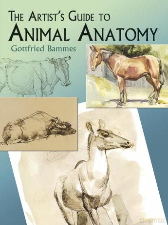 The Artist's Guide to Animal Anatomy (Dover Anatomy for Artists) - Gottfried Bammes [KSIĄŻKA]