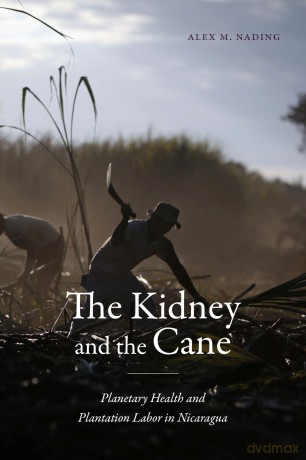 The Kidney and the Cane: Planetary Health and Plantation Labor in Nicaragua (Critical Global Health: Evidence, Efficacy, Ethnography) - Alex M. Nading [KSIĄŻKA]