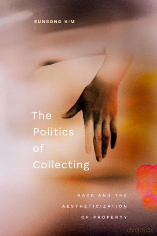 The Politics of Collecting: Race and the Aestheticization of Property - Eunsong Kim [KSIĄŻKA]