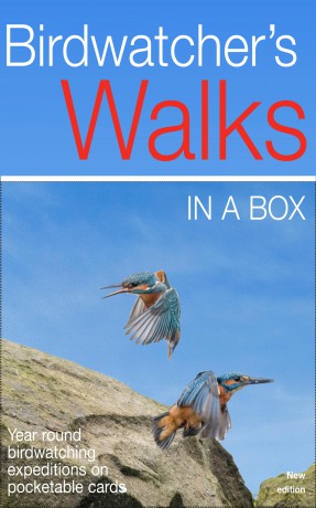Birdwatcher's Walks in a Box: Year-round bird walks in Britain on pocketable cards (Duncan Petersen Guides) - Duncan Petersen [KSIĄŻKA]